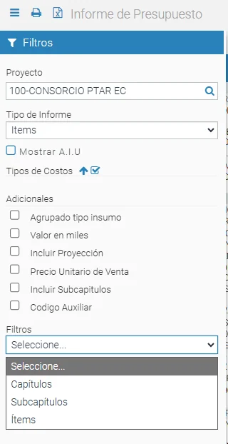 Panel de Filtros de Informes de presupuesto