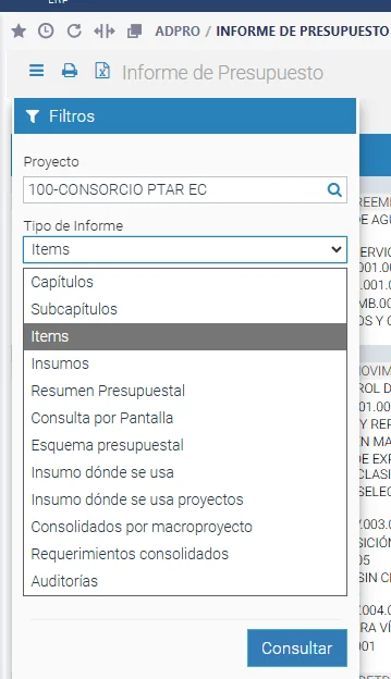 Panel de Opciones de Informes de presupuesto